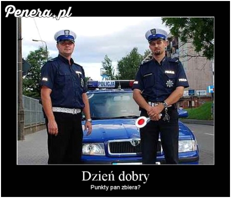 Dzień dobry. Punkty Pan zbiera?