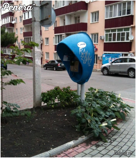 Dzwoń ale szanuj zieleń