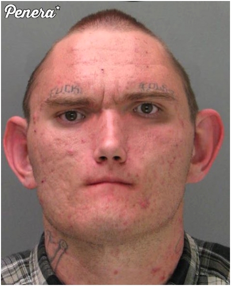 Dzwonnik z Notre Dame