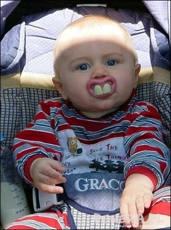 Dawaj marchewe mała Dawaj marchewe mała