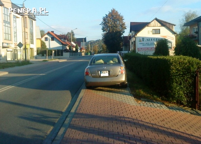 Limanowa - jeden z debili Limanowa - jeden z debili