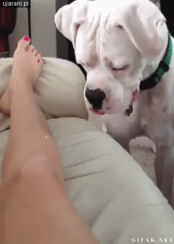 Efekt debilnej zabawy