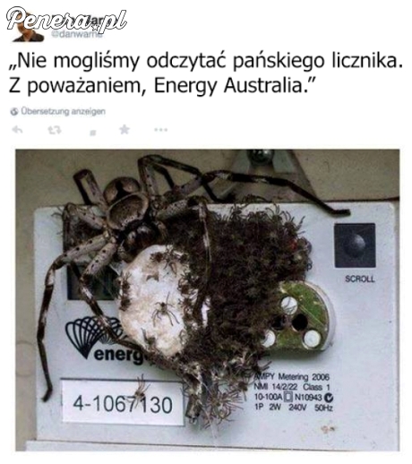 Elektryk który nie mógł odczytać licznika