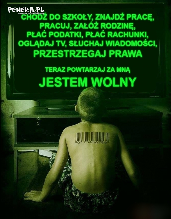 Jesteś wolny Jesteś wolny