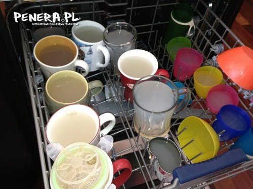 Gdy facet nastawia zmywarkę Gdy facet nastawia zmywarkę