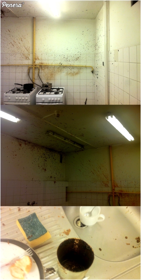 Fasolka po studencku