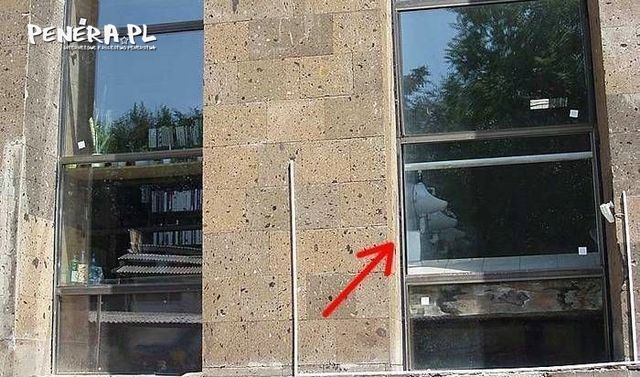 Prawie jak na świeżym powietrzu Prawie jak na świeżym powietrzu