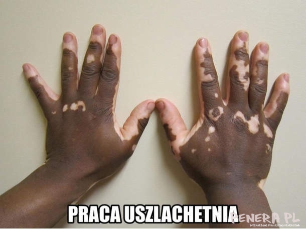 Praca uszlachetnia Praca uszlachetnia