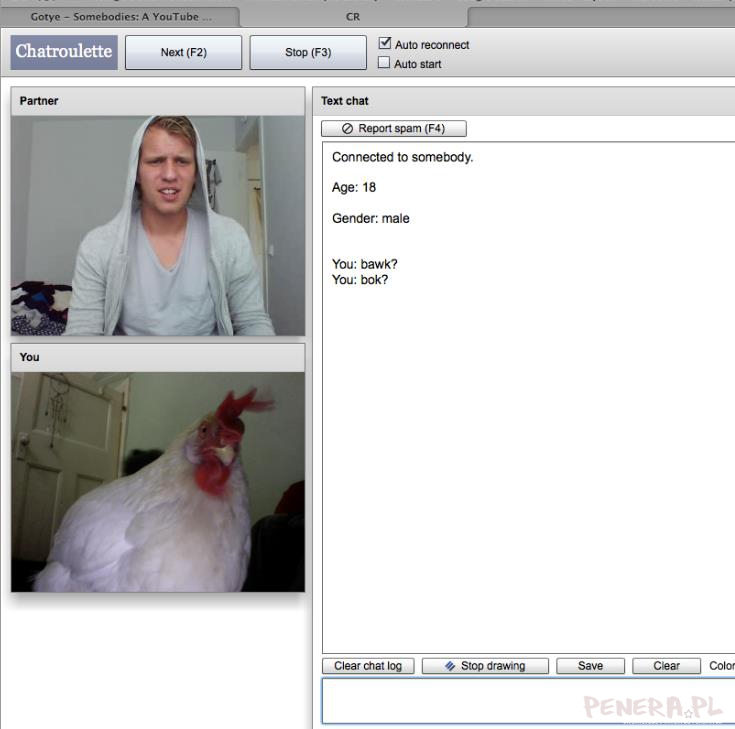 Chat ruletka jest pełna niespodzianek Chat ruletka jest pełna niespodzianek