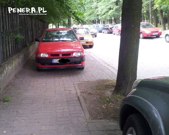 Mistrz parkowania Mistrz parkowania