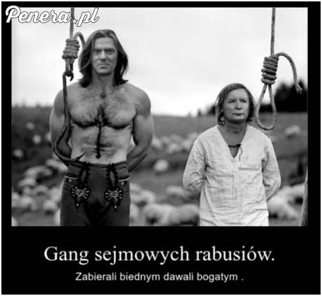 Gang sejmowych rabusiów