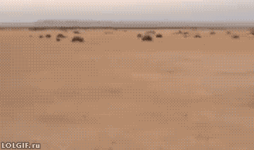 Gdy arabowi zabraknie paliwa