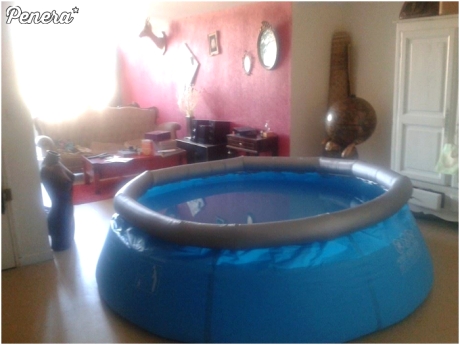 Gdy lato jest zbyt chłodne