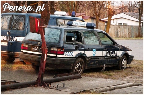 Gdy widzisz psa zamkniętego w nagrzanym samochodzie!