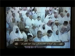 Gdy zaczyna źrebić