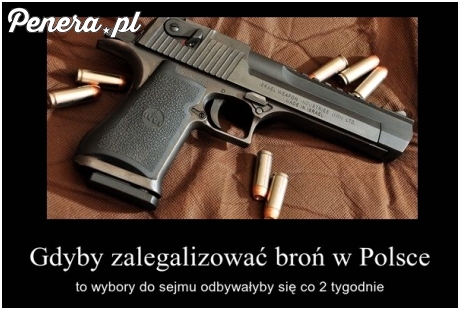 Gdyby zalegalizować broń w Polsce