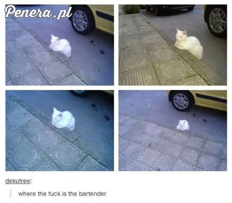 Gdzie jest do cholery barman?