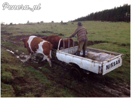 Gdzie zwykłe auto nie wjedzie tam Nissan da radę