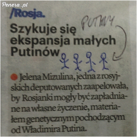 Genialny pomysł w Rosji - robić małych Putinów