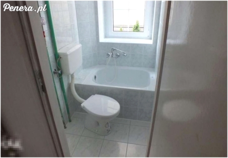 Geniusz architektury