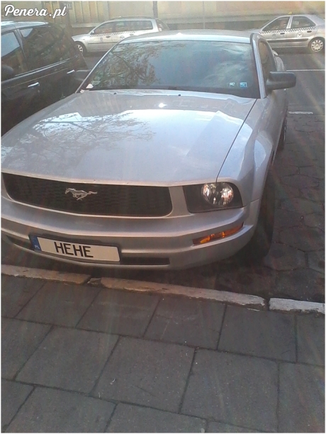 Hehe - taki tam Mustang :D