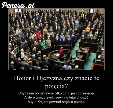 Honor i ojczyzna - szkoda że oni nie znają znaczenia tych słów