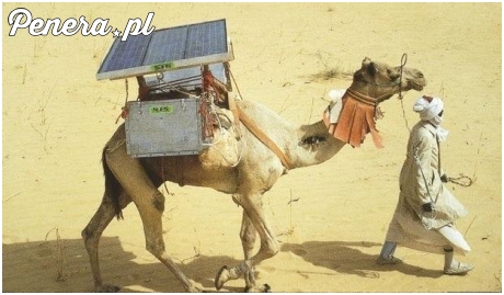 I na jaki ch*j mu ta darmowa energia?!