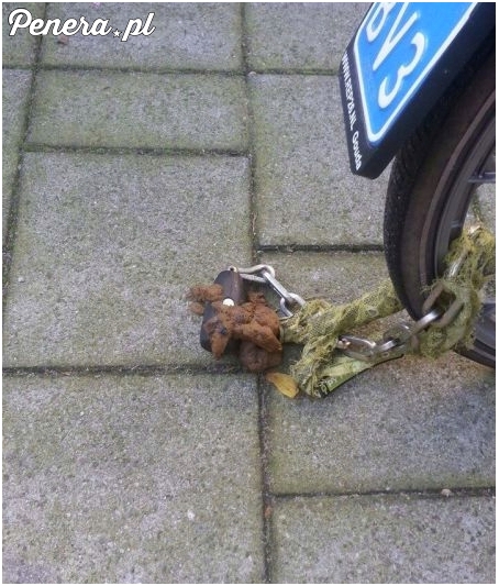 I weź to teraz zdejmij :D