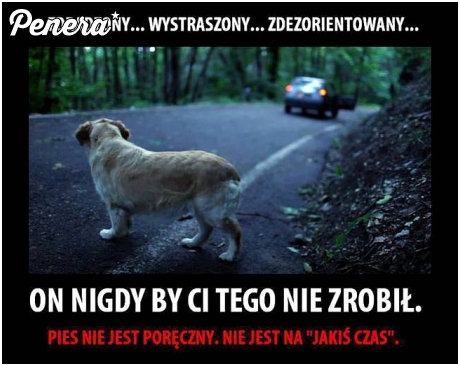 Idą wakacje - człowieku nie bądź kur*ą