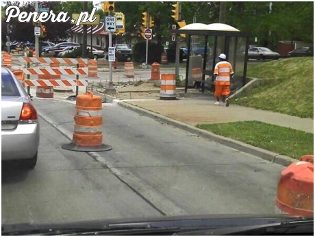 Idealnie wkomponował się w otoczenie