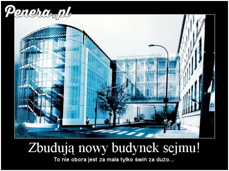 Idioci chcą zbudować nową chlewnię