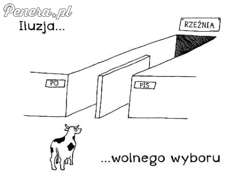 Iluzja wolnego wyboru