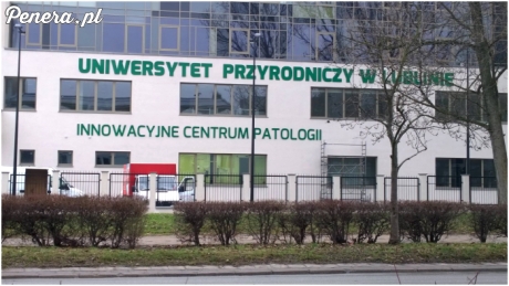 Innowacyjne Centrum Patologi