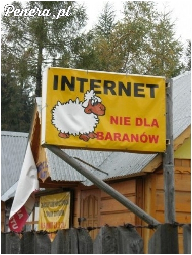 Internet nie dla baranów