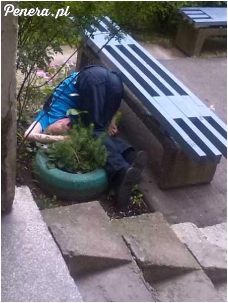 Jabolowe lądowanie pod klatką