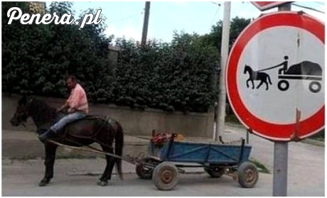 Jak ominąć przepisy