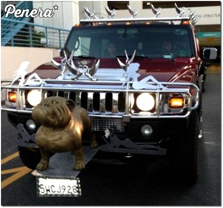 Jak penerzyć to na całego