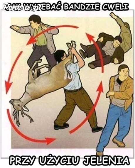 Jak wyje*ać bandzie cweli