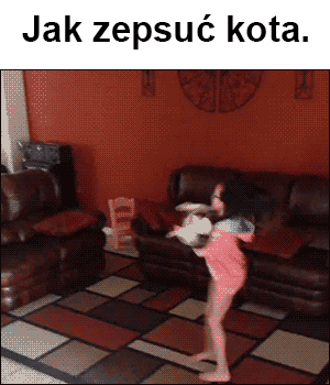 Jak zepsuć kota