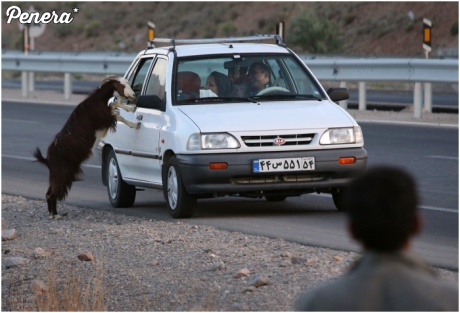 Jaki kraj taka tirówka ;)