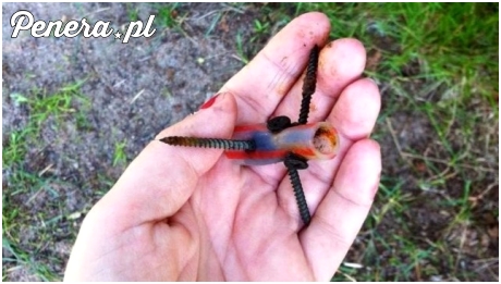 Jakiś zdolniacha coś takiego podrzuca na plaże