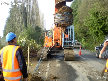 Janusze mają problem