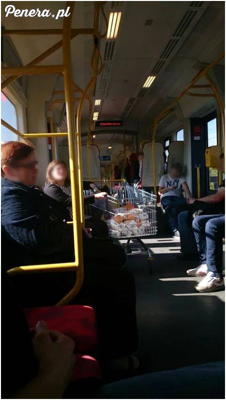 Jeżeli reklamówki są za ciężkie weź ze sobą do tramwaju wózek