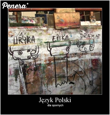 Język Polski dla opornych