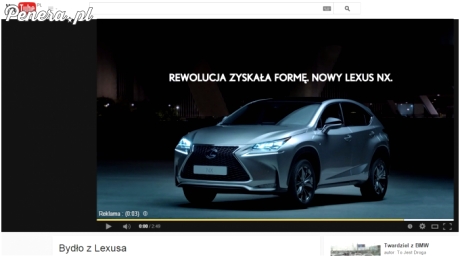 jutuba miszczem reklam