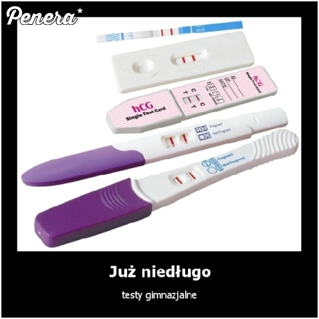 Już niedługo testy gimnazjalne