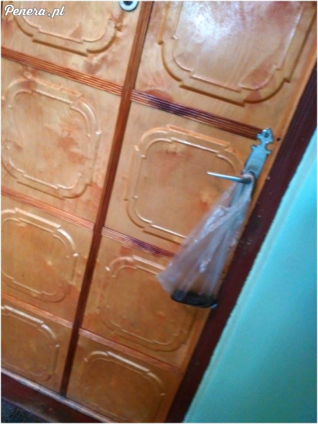 Karny prezent dla Państwa które wyprowadza pieska pod blokiem