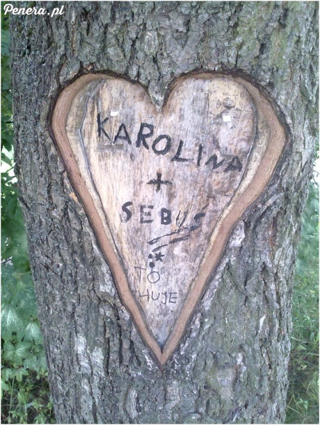 Karolina + Sebuś to