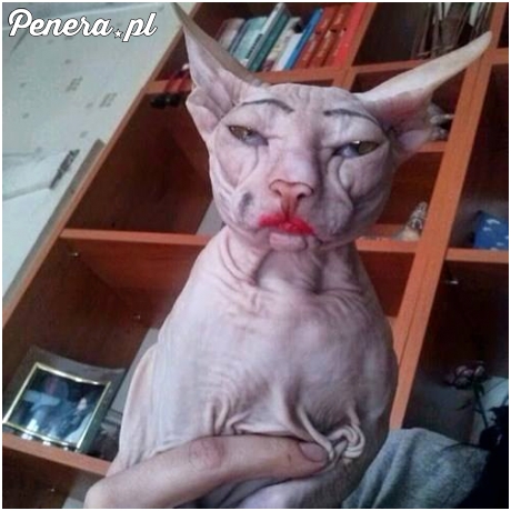 Kiedy 60-letnia kobieta myśli, że ma 25 lat