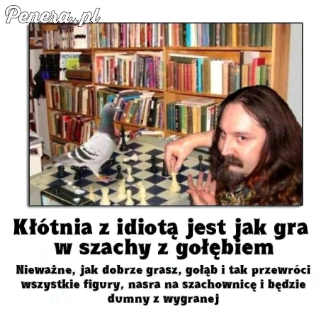 Kłótnia z idiotą jest jak gra